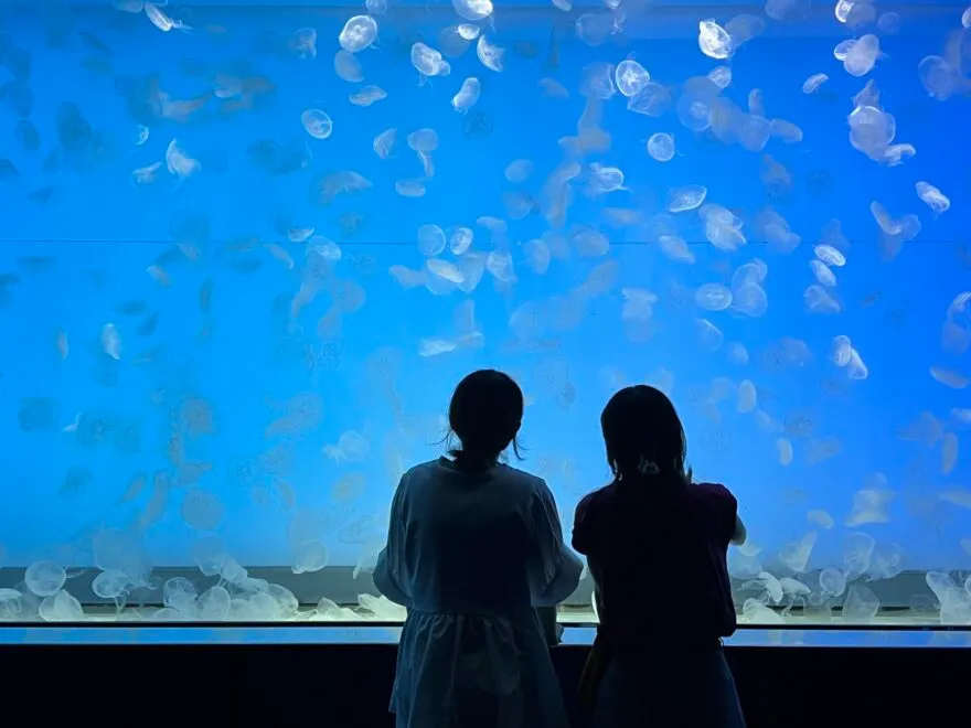 茨城　パパ活　大洗水族館